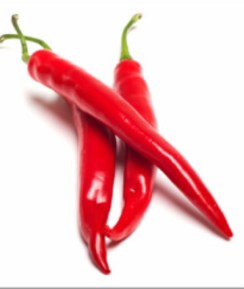 chilli pic